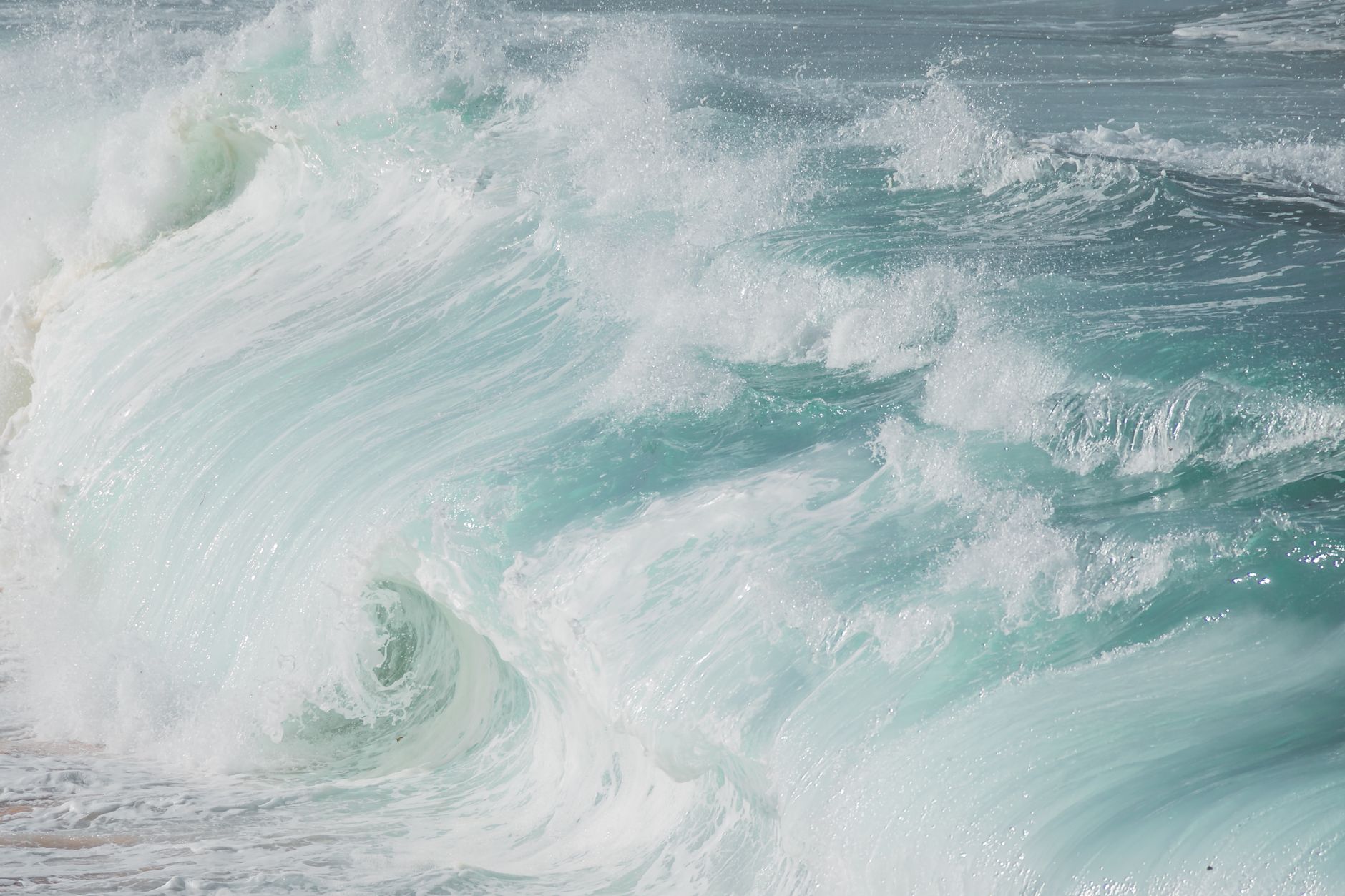Tidalwave continues mortgage tech expansion, hiring Rebecca Frisbie and Zac Basile