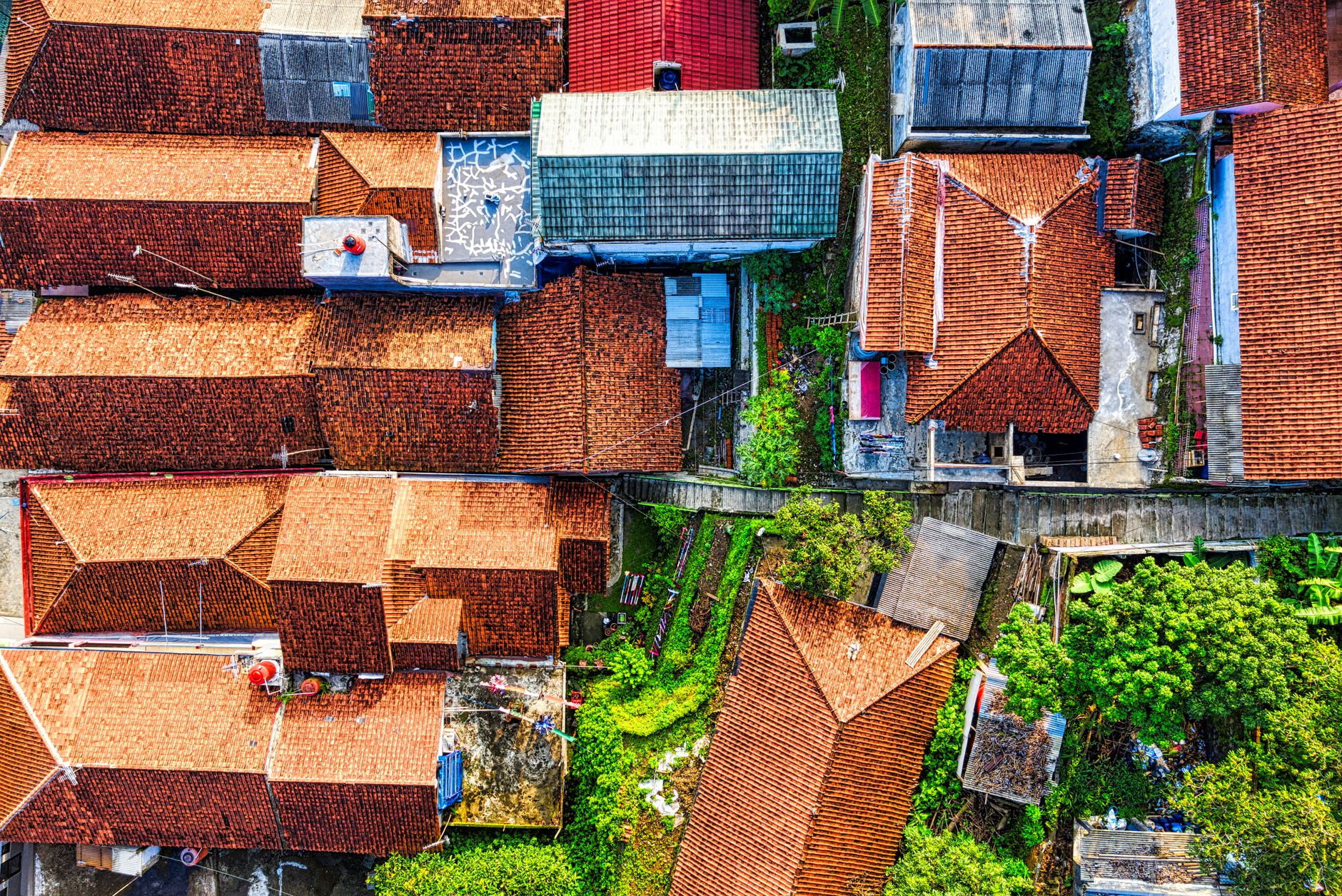 Investor share slips to 27% of single-family purchases, Cotality says
