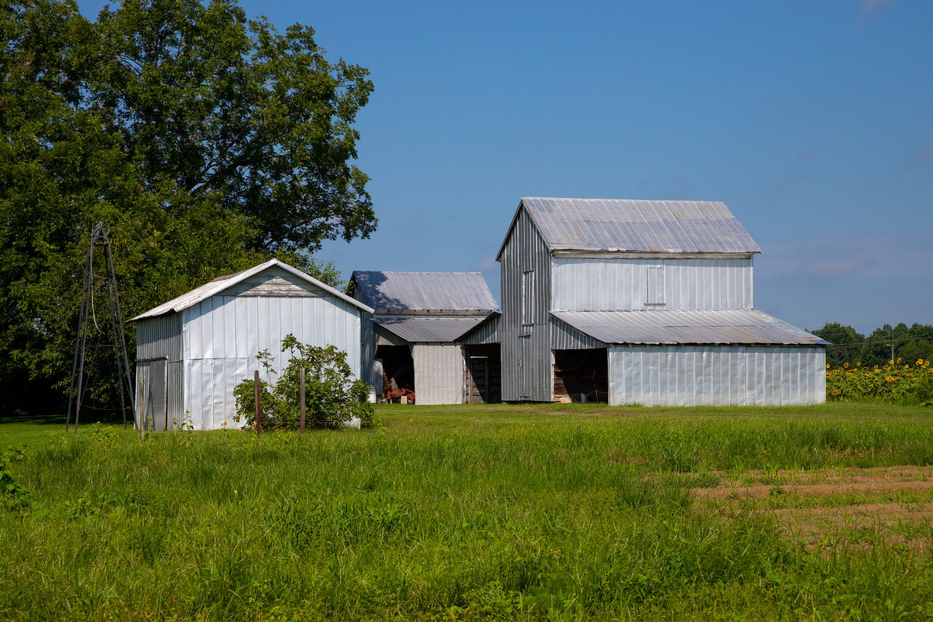 Travis County, TX Housing Market Update: August 2026